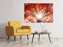 Laden Sie das Bild in den Galerie-Viewer, Leinwandbild Herbstlicht