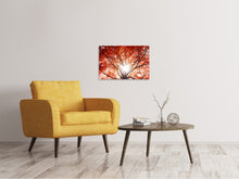 Laden Sie das Bild in den Galerie-Viewer, Leinwandbild Herbstlicht