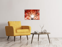 Laden Sie das Bild in den Galerie-Viewer, Leinwandbild Herbstlicht