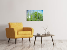 Laden Sie das Bild in den Galerie-Viewer, Leinwandbild Hinter dem Wasserfall
