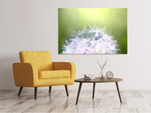 Laden Sie das Bild in den Galerie-Viewer, Leinwandbild Pusteblume XL im Morgentau