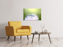 Laden Sie das Bild in den Galerie-Viewer, Leinwandbild Pusteblume XL im Morgentau