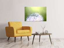 Laden Sie das Bild in den Galerie-Viewer, Leinwandbild Pusteblume XL im Morgentau