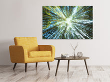Laden Sie das Bild in den Galerie-Viewer, Leinwandbild Kiefernwald