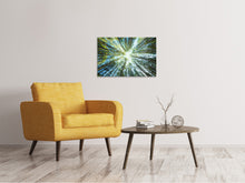 Laden Sie das Bild in den Galerie-Viewer, Leinwandbild Kiefernwald