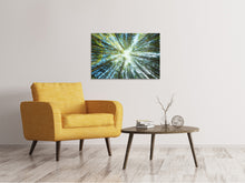 Laden Sie das Bild in den Galerie-Viewer, Leinwandbild Kiefernwald