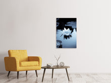 Laden Sie das Bild in den Galerie-Viewer, Leinwandbild Schwarzweissfotografie der Seerose