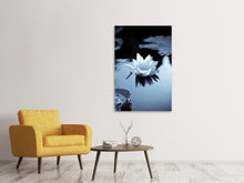 Laden Sie das Bild in den Galerie-Viewer, Leinwandbild Schwarzweissfotografie der Seerose