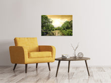 Laden Sie das Bild in den Galerie-Viewer, Leinwandbild Am Ende des Waldes
