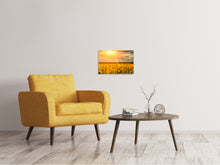 Laden Sie das Bild in den Galerie-Viewer, Leinwandbild Goldenes Licht für Sonnenblumen