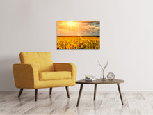 Laden Sie das Bild in den Galerie-Viewer, Leinwandbild Goldenes Licht für Sonnenblumen