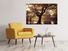 Laden Sie das Bild in den Galerie-Viewer, Leinwandbild Landschaftspark