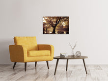 Laden Sie das Bild in den Galerie-Viewer, Leinwandbild Landschaftspark