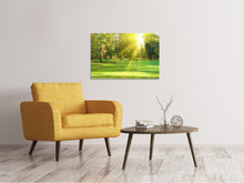 Laden Sie das Bild in den Galerie-Viewer, Leinwandbild Im Park