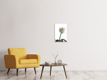 Laden Sie das Bild in den Galerie-Viewer, Leinwandbild Im Namen der Rose