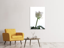 Laden Sie das Bild in den Galerie-Viewer, Leinwandbild Im Namen der Rose