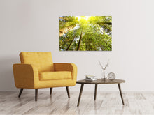 Laden Sie das Bild in den Galerie-Viewer, Leinwandbild Baumkronen in der Sonne