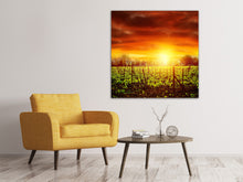 Laden Sie das Bild in den Galerie-Viewer, Leinwandbild Der Weinberg bei Sonnenuntergang