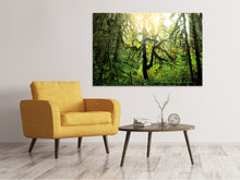 Laden Sie das Bild in den Galerie-Viewer, Leinwandbild Verträumter Wald