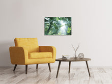 Laden Sie das Bild in den Galerie-Viewer, Leinwandbild Dschungelstar