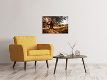 Laden Sie das Bild in den Galerie-Viewer, Leinwandbild Olivenhain