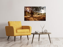 Laden Sie das Bild in den Galerie-Viewer, Leinwandbild Olivenhain