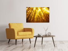 Laden Sie das Bild in den Galerie-Viewer, Leinwandbild Herbstwald