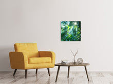 Laden Sie das Bild in den Galerie-Viewer, Leinwandbild Im Tropenwald