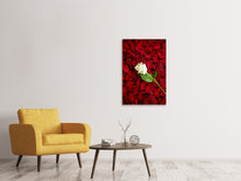 Laden Sie das Bild in den Galerie-Viewer, Leinwandbild Auf Rosen gebettet