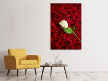 Laden Sie das Bild in den Galerie-Viewer, Leinwandbild Auf Rosen gebettet