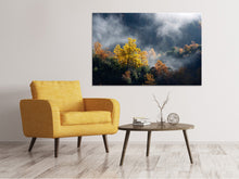 Laden Sie das Bild in den Galerie-Viewer, Leinwandbild Mondscheinwald