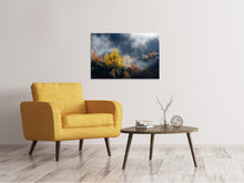 Laden Sie das Bild in den Galerie-Viewer, Leinwandbild Mondscheinwald