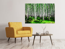 Laden Sie das Bild in den Galerie-Viewer, Leinwandbild Sommerlicher Birkenwald