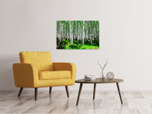 Laden Sie das Bild in den Galerie-Viewer, Leinwandbild Sommerlicher Birkenwald