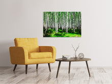 Laden Sie das Bild in den Galerie-Viewer, Leinwandbild Sommerlicher Birkenwald