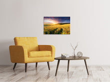 Laden Sie das Bild in den Galerie-Viewer, Leinwandbild Ein Blumenfeld bei Sonnenaufgang