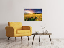 Laden Sie das Bild in den Galerie-Viewer, Leinwandbild Ein Blumenfeld bei Sonnenaufgang