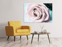 Laden Sie das Bild in den Galerie-Viewer, Leinwandbild Pastellrose