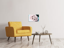 Laden Sie das Bild in den Galerie-Viewer, Leinwandbild Pastellrose
