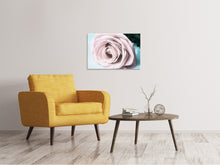 Laden Sie das Bild in den Galerie-Viewer, Leinwandbild Pastellrose