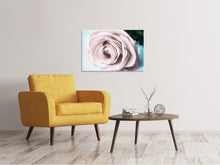 Laden Sie das Bild in den Galerie-Viewer, Leinwandbild Pastellrose