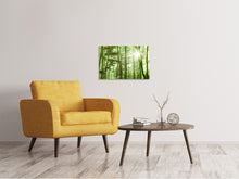 Laden Sie das Bild in den Galerie-Viewer, Leinwandbild Nibelungenwald
