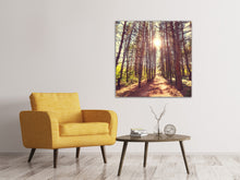 Laden Sie das Bild in den Galerie-Viewer, Leinwandbild Licht am Ende des Waldweges