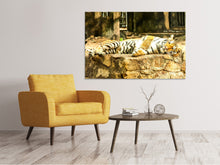 Laden Sie das Bild in den Galerie-Viewer, Leinwandbild Der Sibirische Tiger