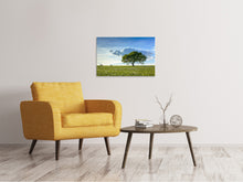 Laden Sie das Bild in den Galerie-Viewer, Leinwandbild Frühlingsbaum