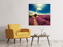 Laden Sie das Bild in den Galerie-Viewer, Leinwandbild Das Lavendeltal