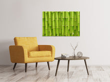 Laden Sie das Bild in den Galerie-Viewer, Leinwandbild Bambuswand