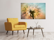 Laden Sie das Bild in den Galerie-Viewer, Leinwandbild XXL Pusteblume