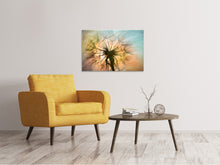 Laden Sie das Bild in den Galerie-Viewer, Leinwandbild XXL Pusteblume