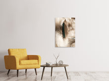 Laden Sie das Bild in den Galerie-Viewer, Leinwandbild Federn